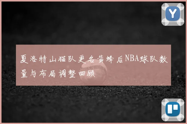 夏洛特山猫队更名黄蜂后NBA球队数量与布局调整回顾