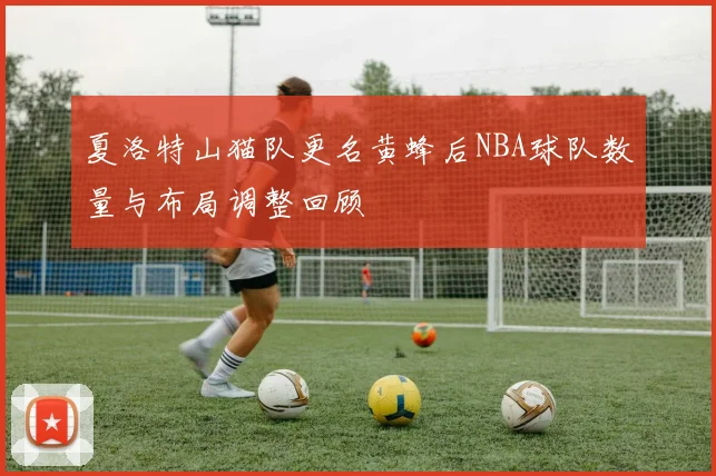 夏洛特山猫队更名黄蜂后NBA球队数量与布局调整回顾