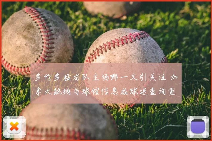 多伦多猛龙队主场哪一文引关注 加拿大航线与球馆信息成球迷查询重点