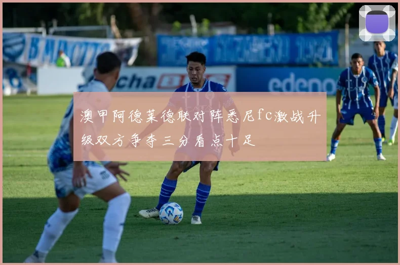 澳甲阿德莱德联对阵悉尼fc激战升级双方争夺三分看点十足