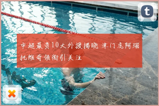 中超最贵10大外援揭晓 津门虎阿瑙托维奇领衔引关注