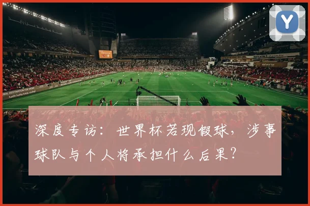 深度专访:世界杯若现假球,涉事球队与个人将承担什么后果?