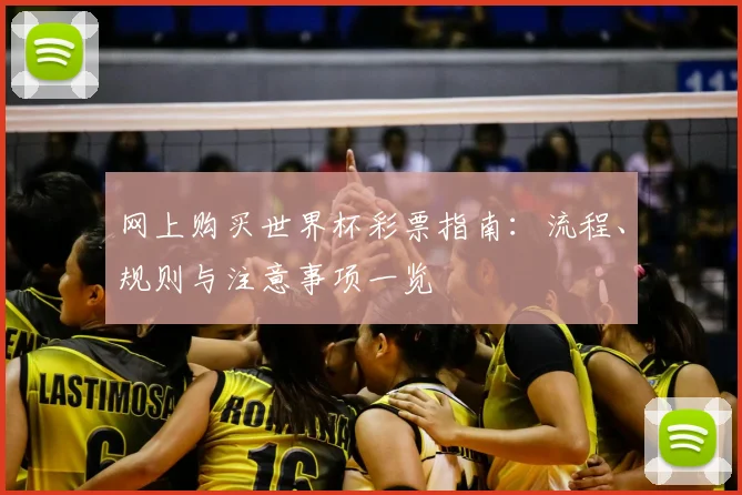 网上购买世界杯彩票指南：流程、规则与注意事项一览
