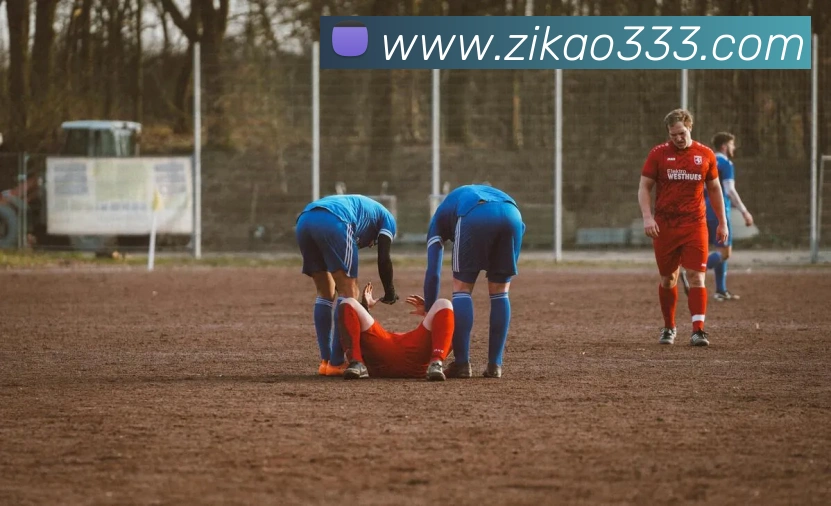 多媒体互动体验